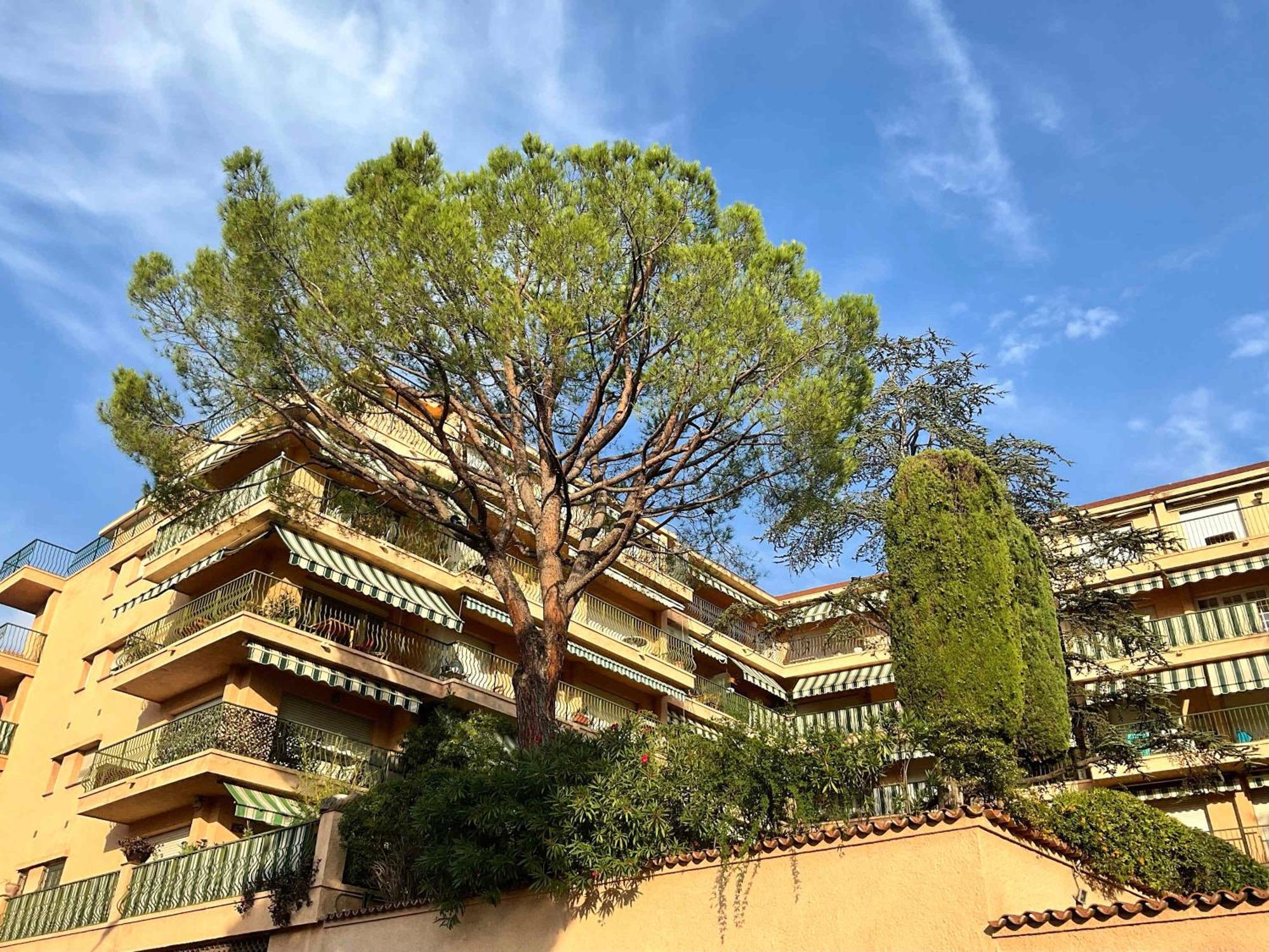 Lympia - One Bedroom Near The Port Nizza