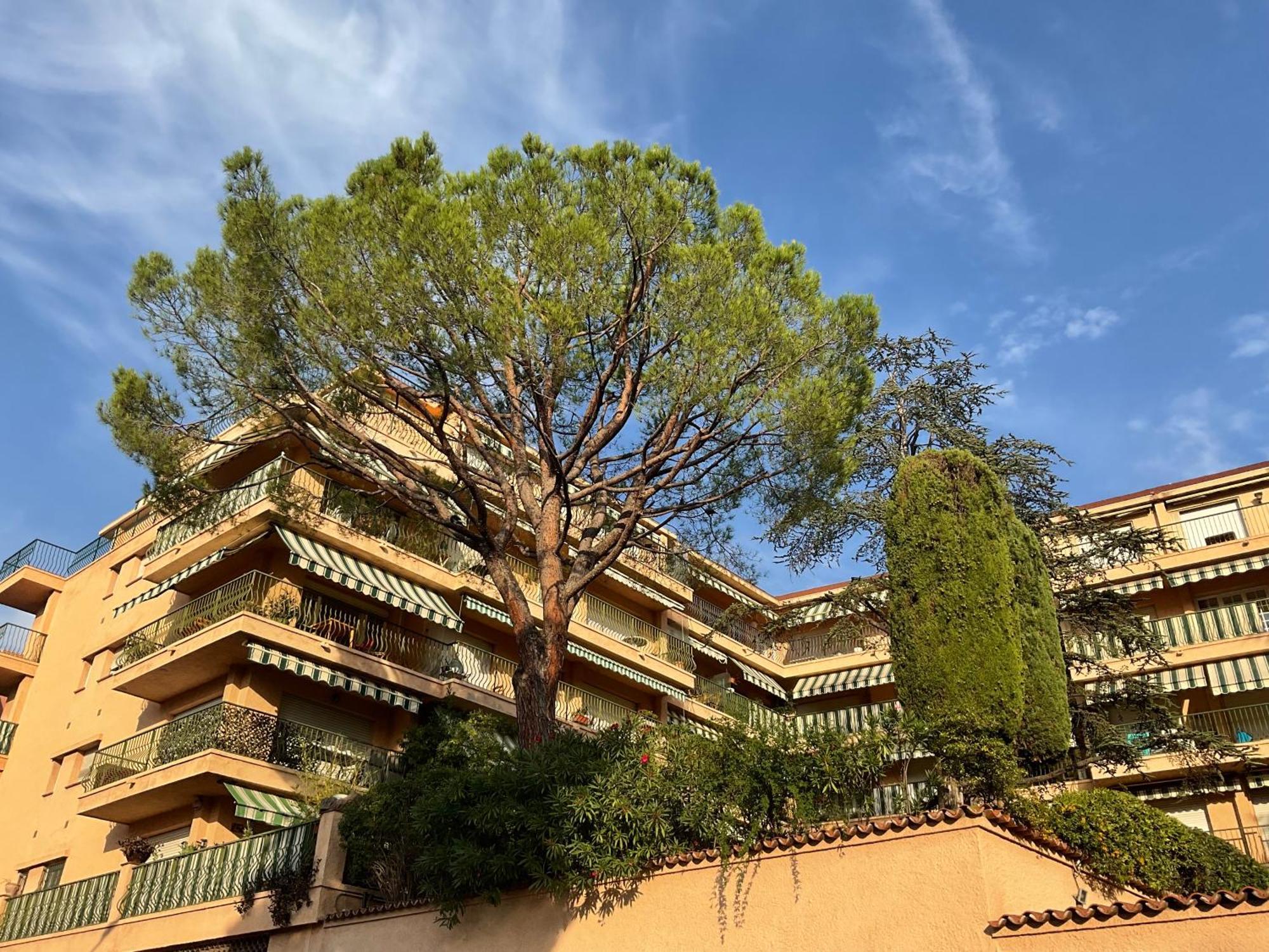 Appartamento Lympia - One Bedroom Near The Port Nizza